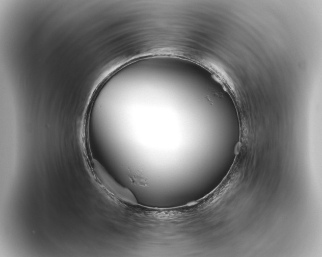 X0000096400952200801241158