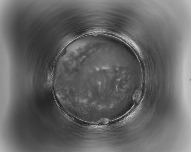 X0000096400953200801241158