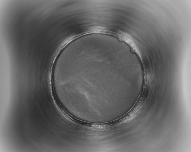 X0000096400954200801241158