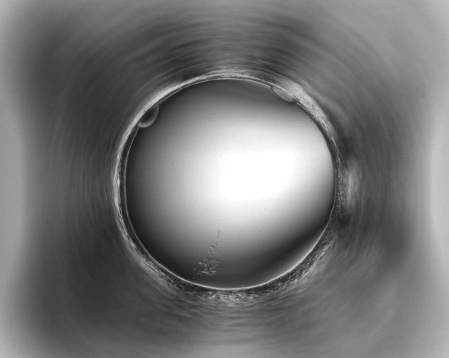 X0000096400955200801241158