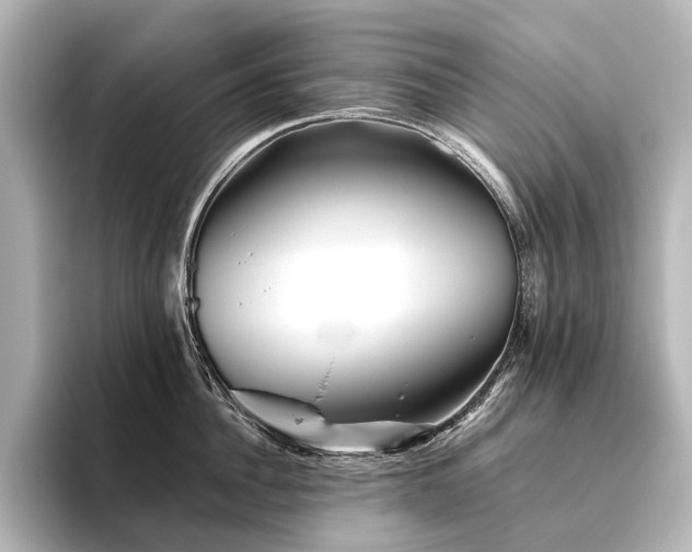 X0000096400956200801241158