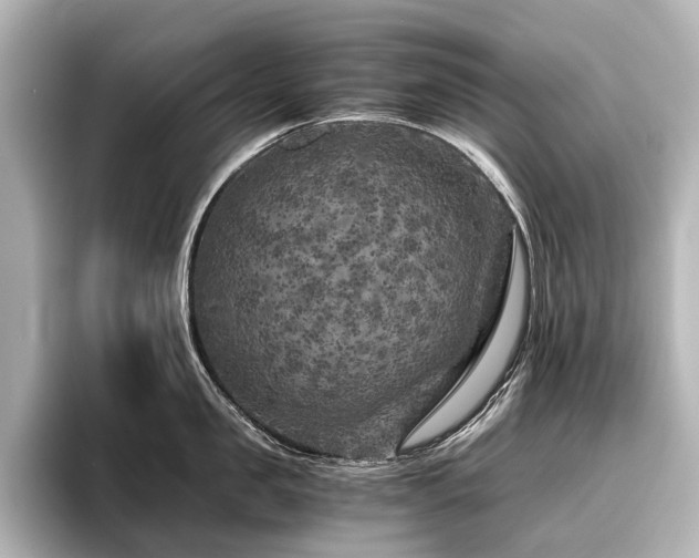 X0000096400957200801241158