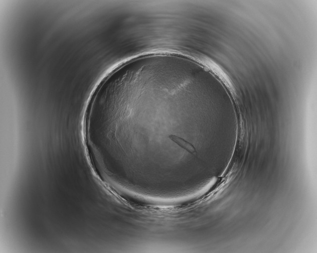 X0000096400958200801241158