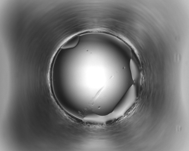 X0000096400959200801241158