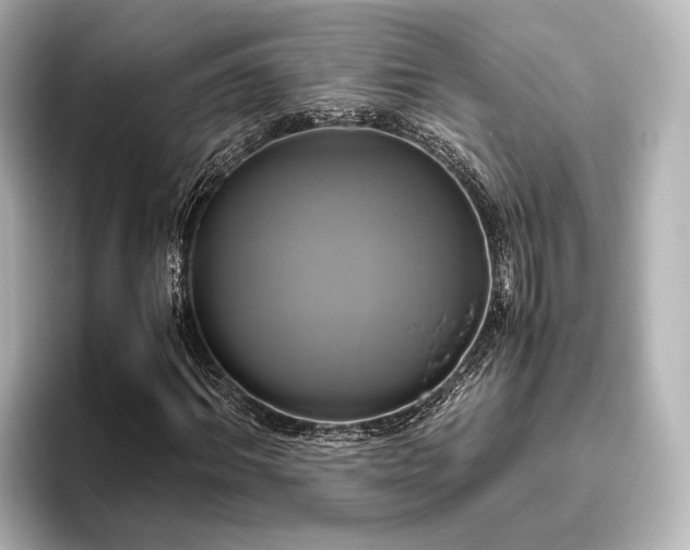 X0000096400964200801241157