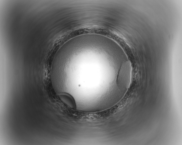 X0000096400966200801241157