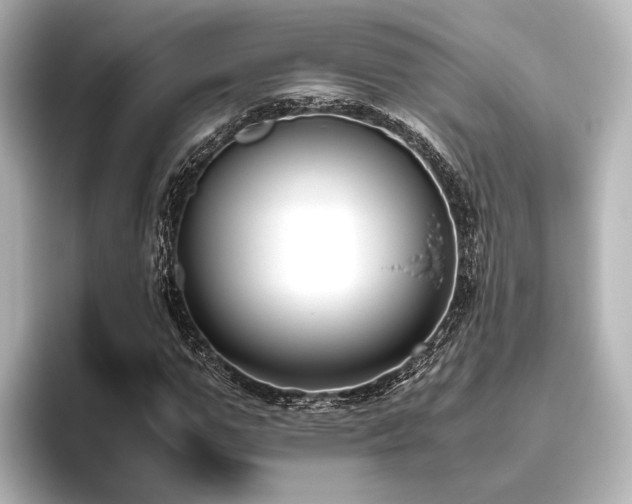 X0000096400967200801241157