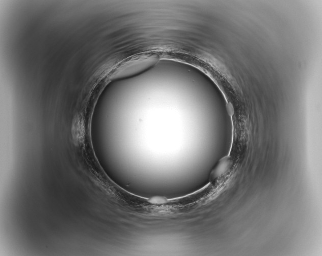 X0000096400969200801241157