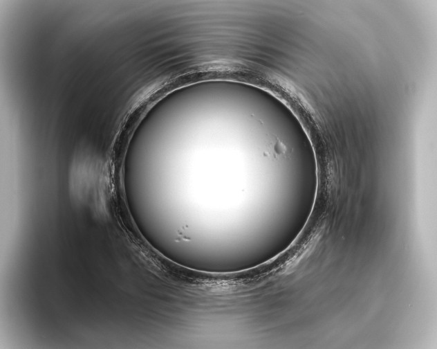 X0000096400970200801241157