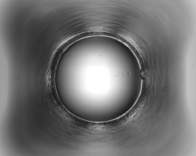 X0000096400971200801241157