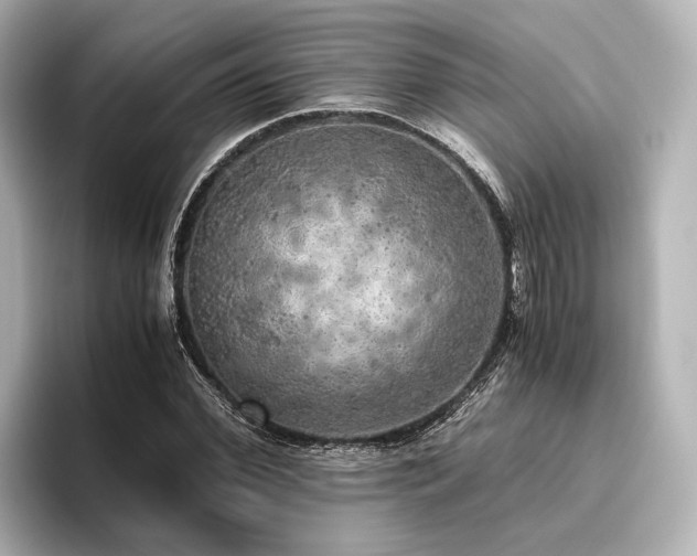 X0000096400972200801241157