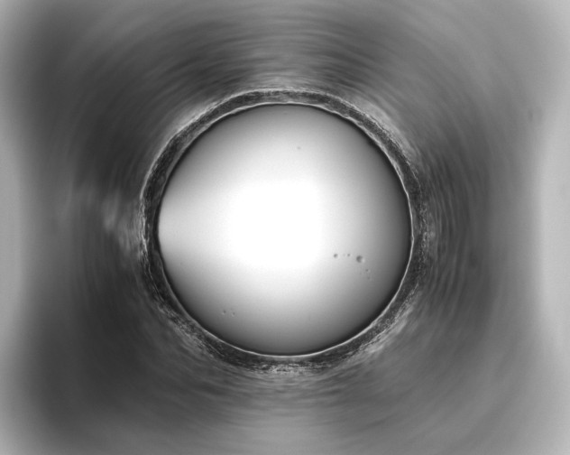 X0000096400974200801241157