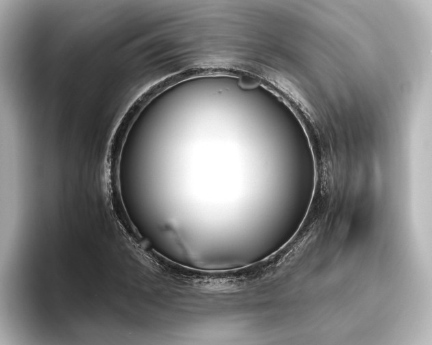 X0000096400976200801241157