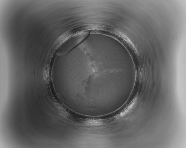 X0000096400977200801241157