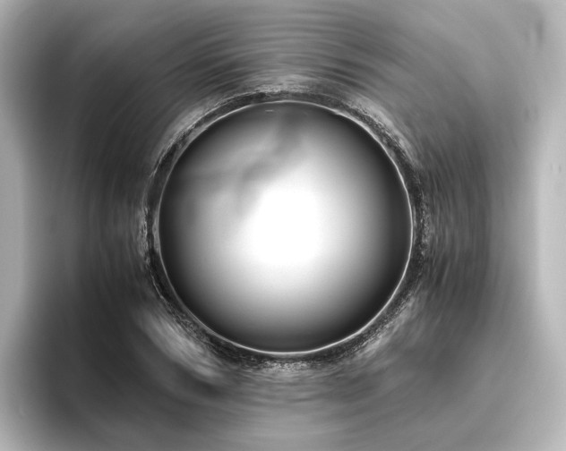 X0000096400978200801241157