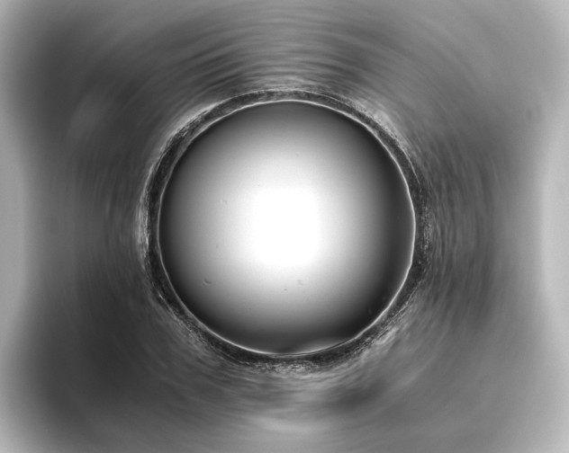 X0000096400979200801241157