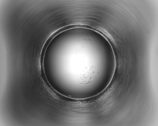 X0000096400980200801241157