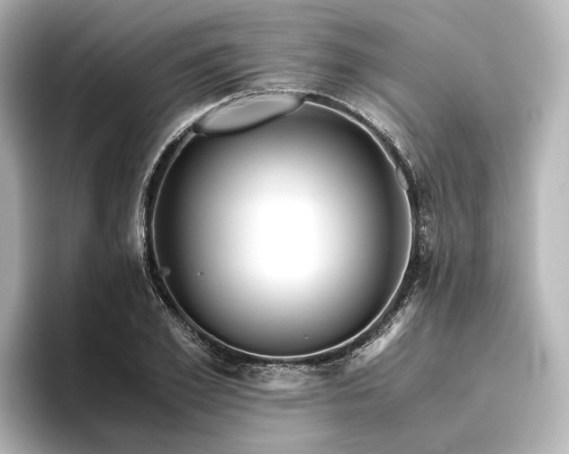 X0000096400981200801241157