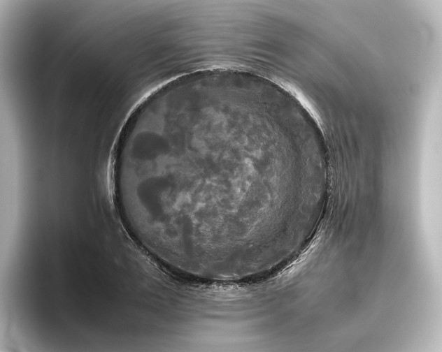 X0000096400983200801241157