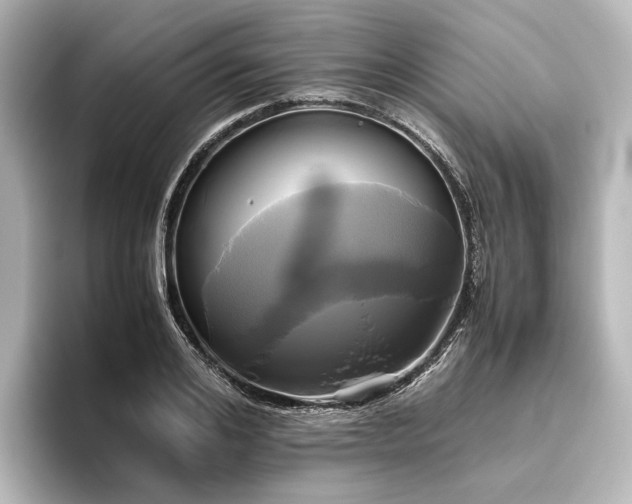 X0000096400984200801241157