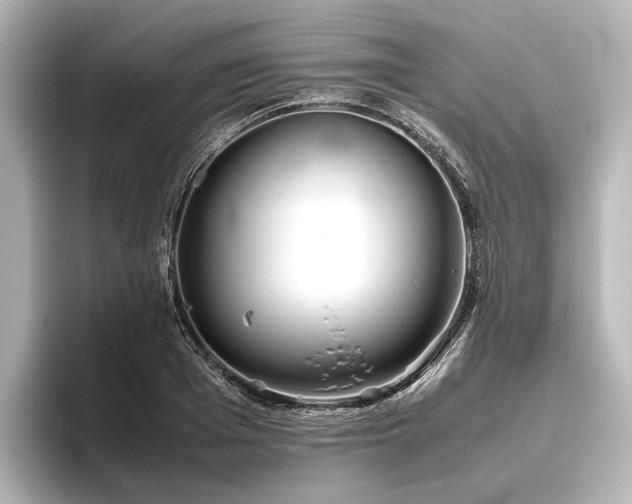 X0000096400985200801241157