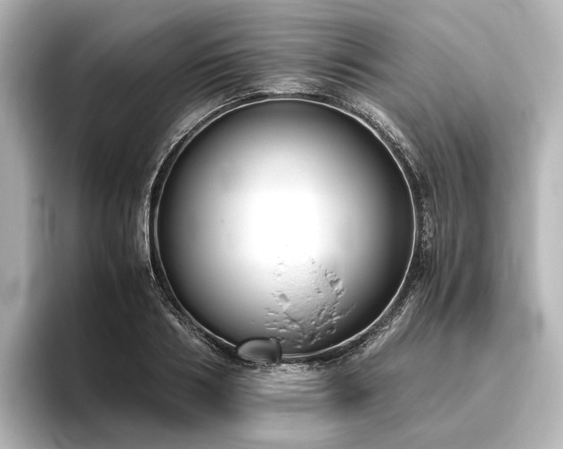 X0000096400986200801241157