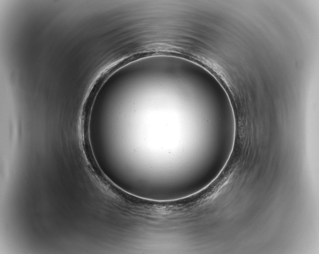 X0000096400987200801241157