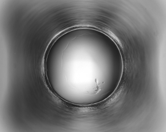 X0000096400988200801241157