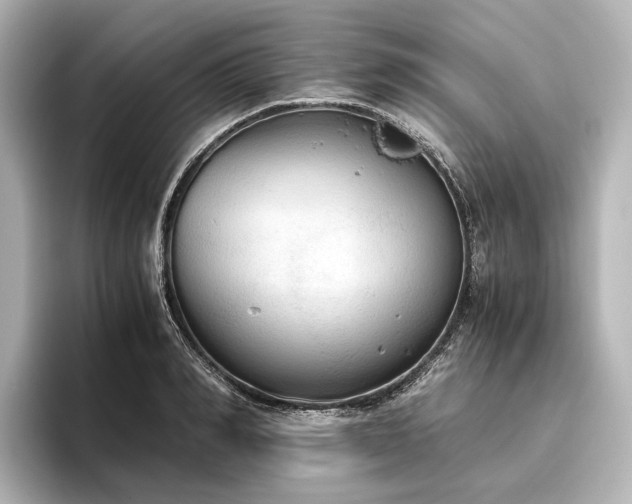 X0000096400990200801241157