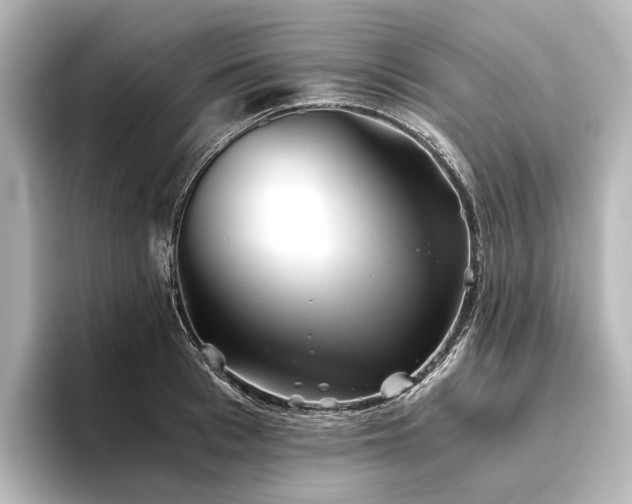 X0000096400993200801241157