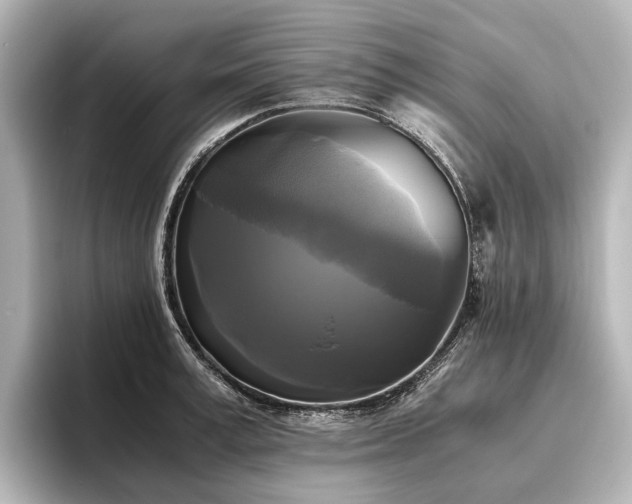 X0000096400995200801241157