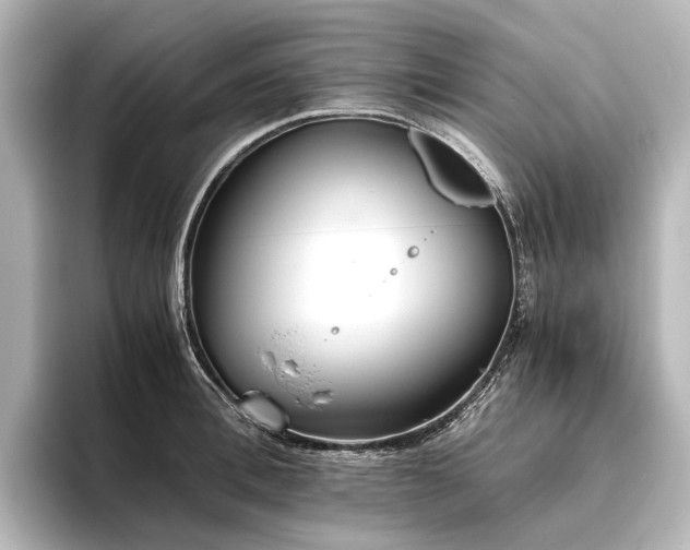 X0000096400996200801241157