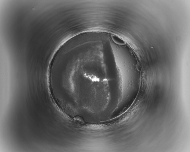 X0000096400998200801241157