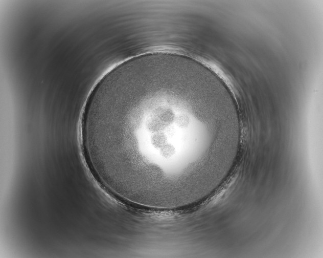 X0000096400999200801241157