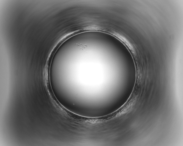 X0000096401000200801241157