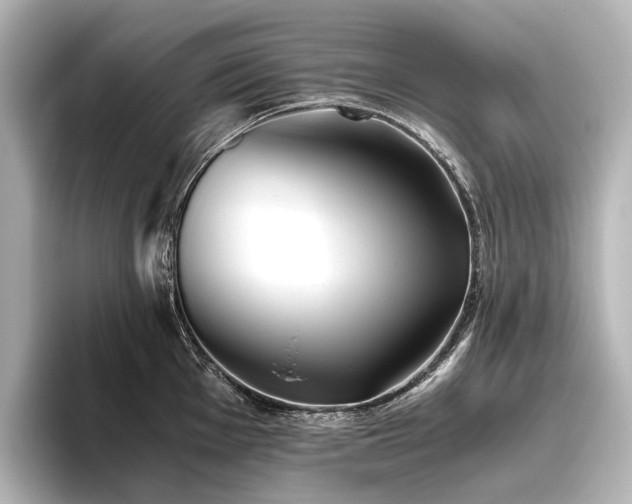 X0000096401001200801241157