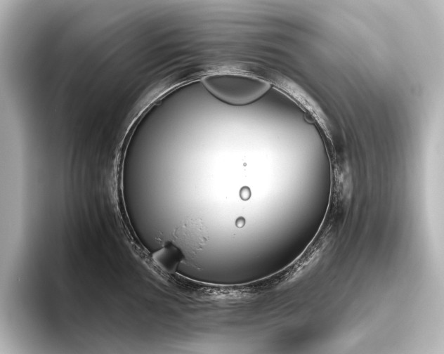 X0000096401002200801241157