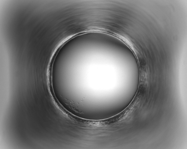 X0000096401003200801241157