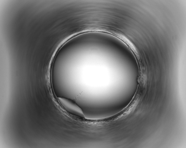 X0000096401004200801241157