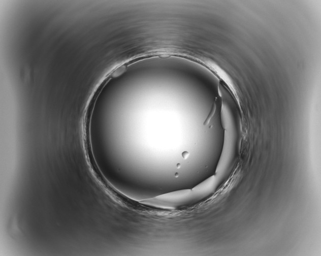 X0000096401005200801241157