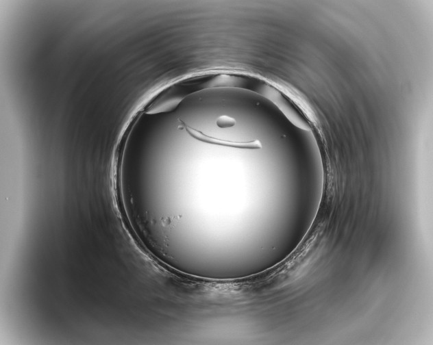 X0000096401006200801241157