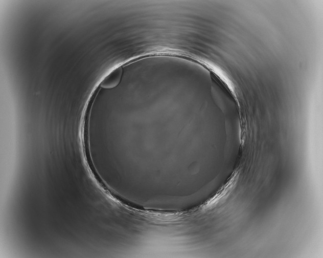 X0000096401007200801241157