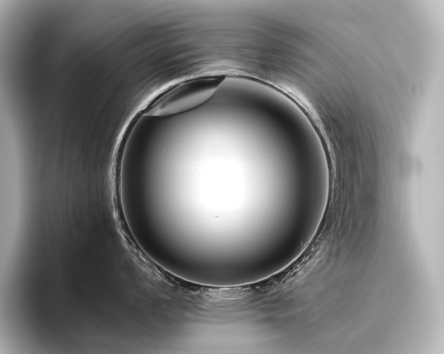 X0000096401008200801241157