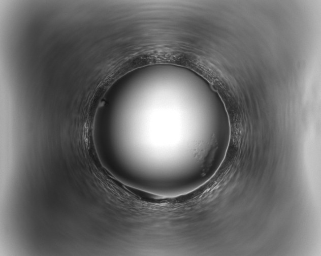 X0000096401010200801241156