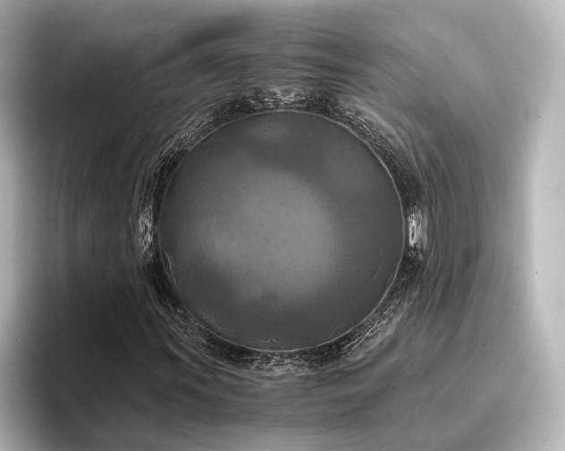 X0000096401011200801241156