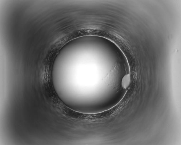 X0000096401014200801241156