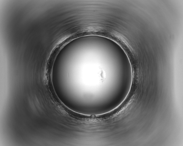 X0000096401018200801241156