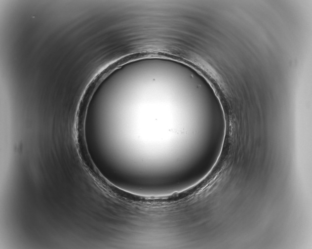 X0000096401020200801241156