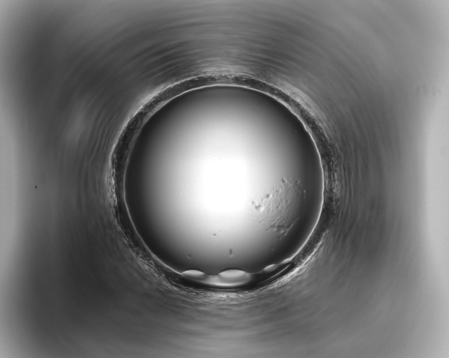 X0000096401022200801241156