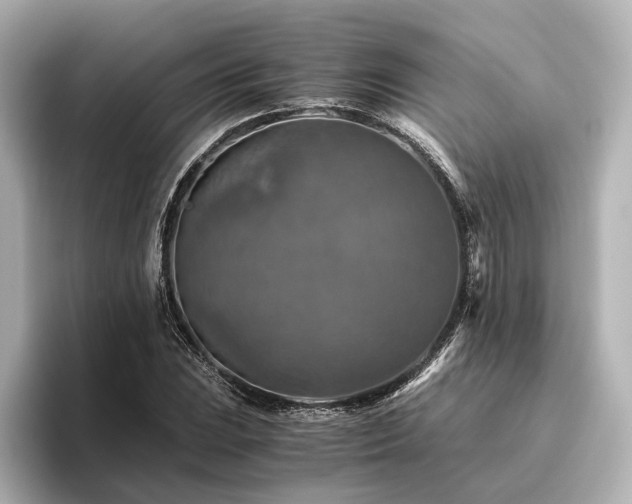 X0000096401023200801241156